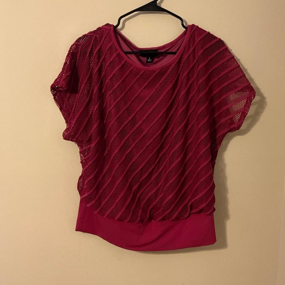 Y2K Whimsygoth Maroon Textured Mesh Sheer Blouse With Banded Waist